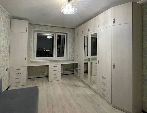 Рабочая зона модель r290 купить в Дзержинском
